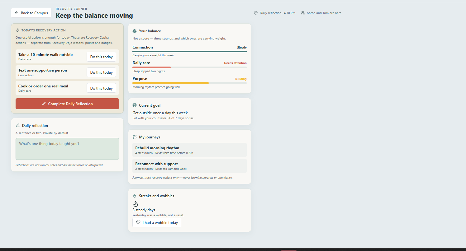 Original Recovery Corner dashboard screenshot: small daily recovery-capital actions, personal goals, private reflection and steady-day progress